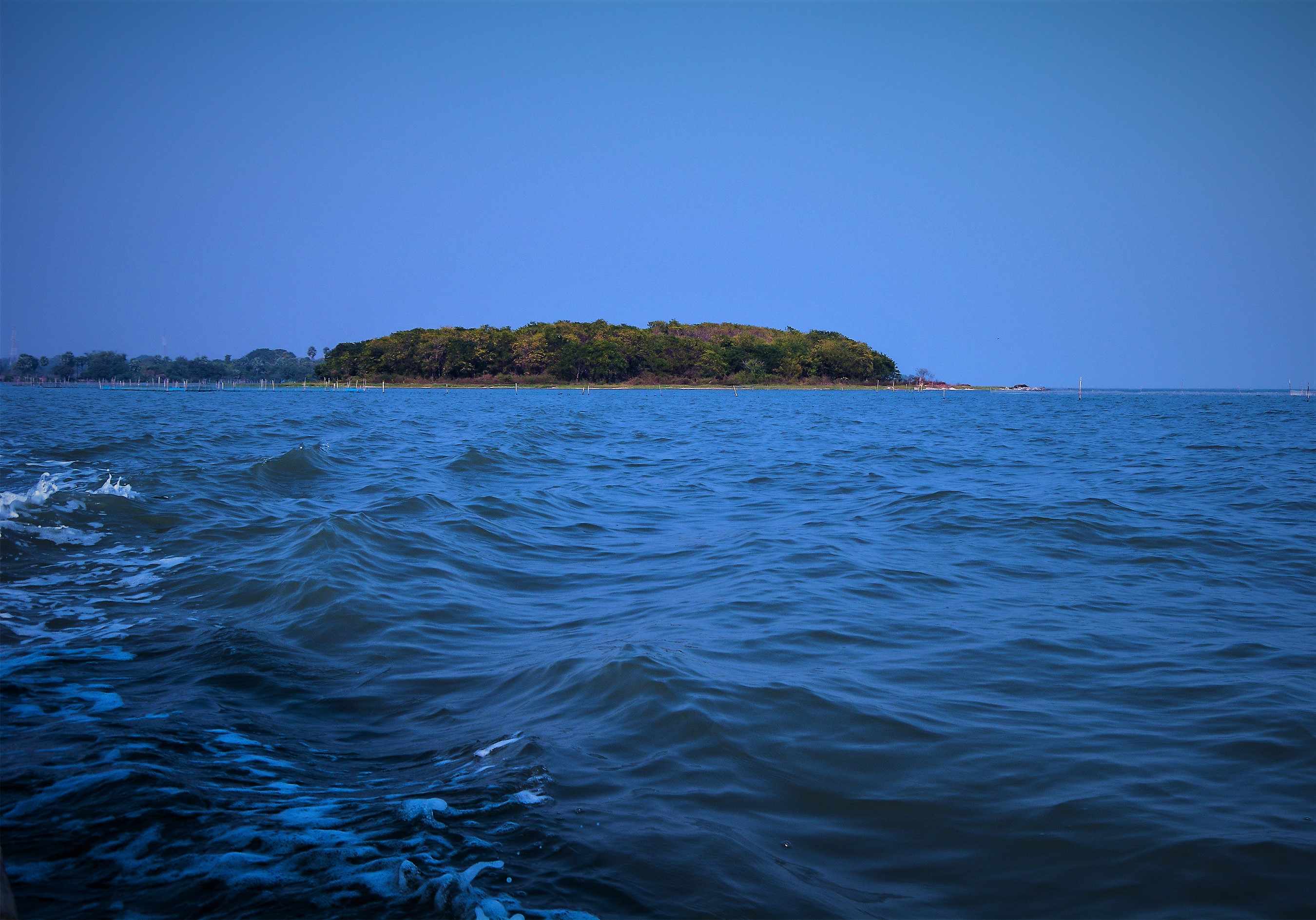 Restored Island on Chilika